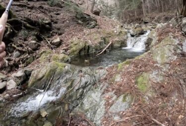 神流川支流の渓流釣り：水量豊富な川で久しぶりの坊主