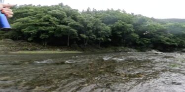 神流川の鮎釣り：祝解禁❗️藻だらけの辛い鮎釣りでした。