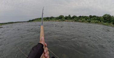 利根川の本流釣り：まだまだ釣れない時期が続きます
