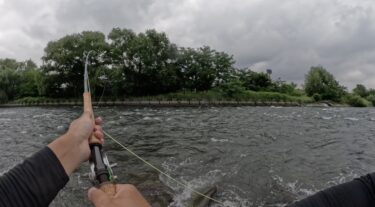 利根川の本流釣り：今年は一段と厳しい状況らしいです